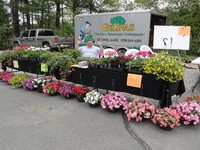 Quabbin Valley Flower Show 110514
