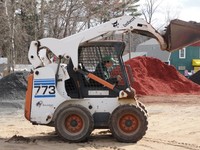 Ellen Bobcat 2011