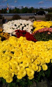 A Sea of Color 2