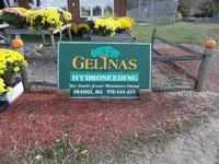 Fall at Gelinas