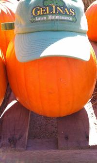 Gelinas O’ Lantern