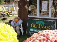 Pumpkin Man at Gelinas
