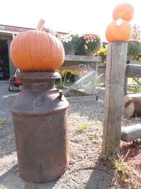 Pumpkins