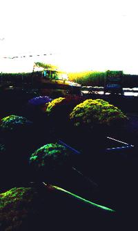 IMAG0055