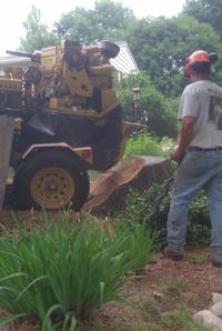 Stump Grinder