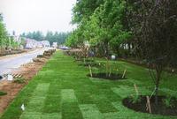 Installing Sod