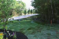 Landscaping Complete