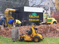 Rake Em Take Em & Clean Ups