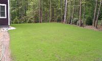 Right side lawn may 22