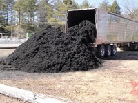 Jet Black Mulch Blend